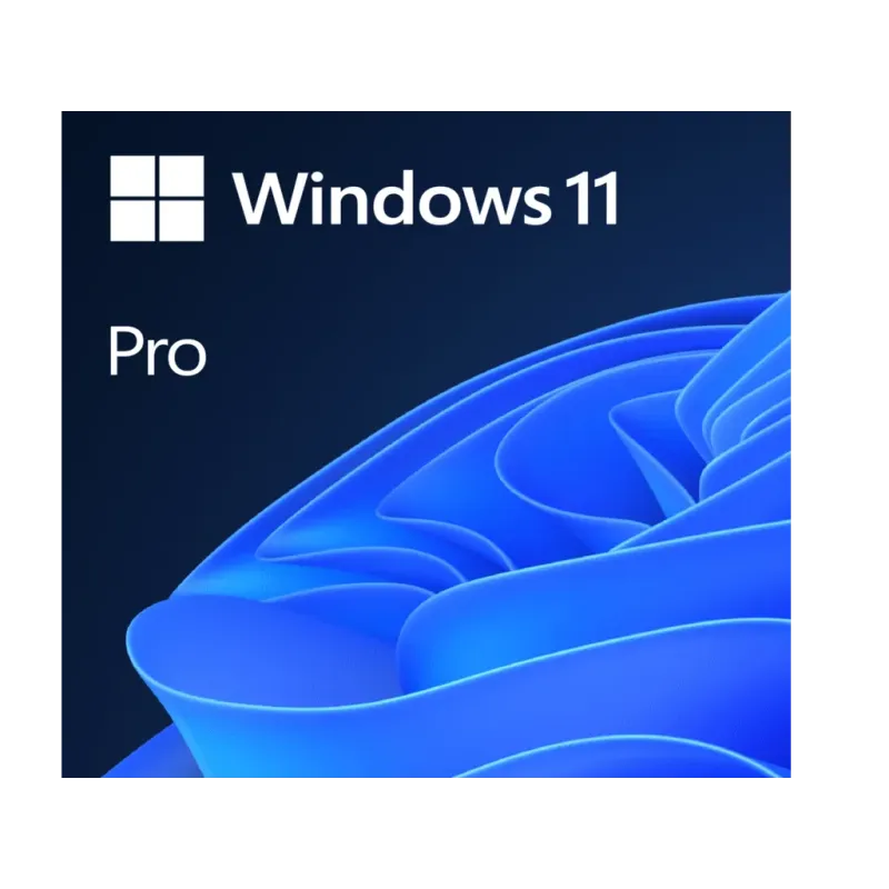 Microsoft Windows 11 Pro Licenca (GGK)