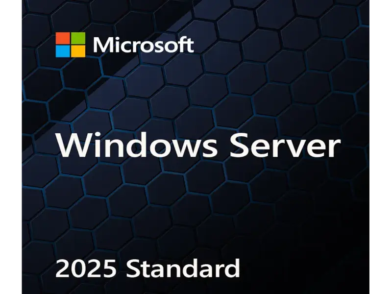 Microsoft Windows Server Standard 2025 OEM Licenca