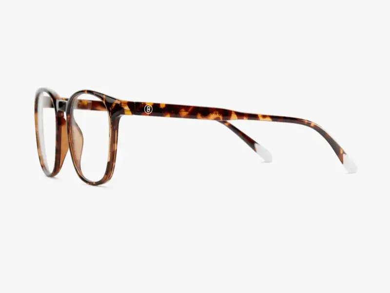 Barner Dalston Zaštitne naočare za kompjuter - Glossy Tortoise